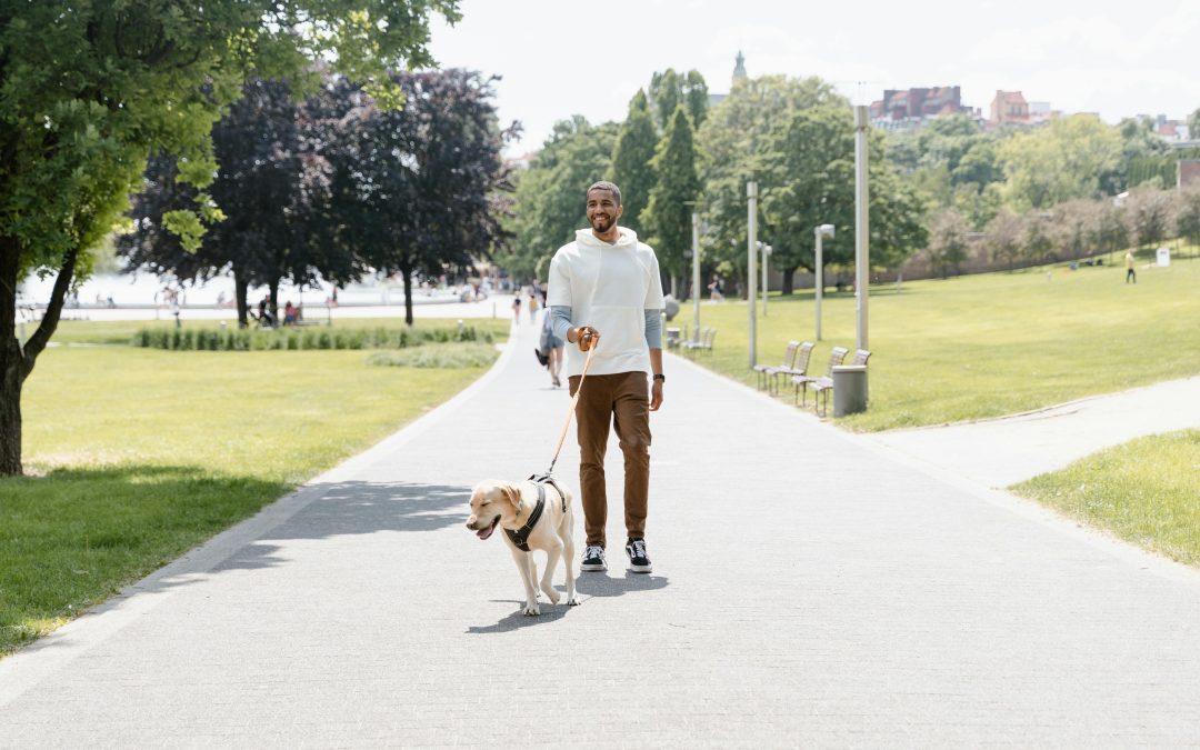 Dog Poop Pick up Company Edmonton